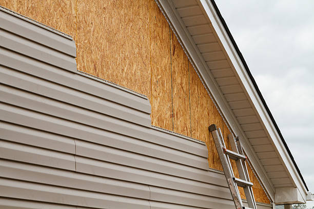Professional Siding Inspection technician working in Rogersville, PA